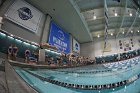 Swimming & Diving vs RWU  Swimming & Diving vs Roger Williams University. - Photo by Keith Nordstrom : Wheaton, Swimming